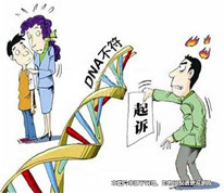 女兒不是親生，男子起訴前妻要求賠償