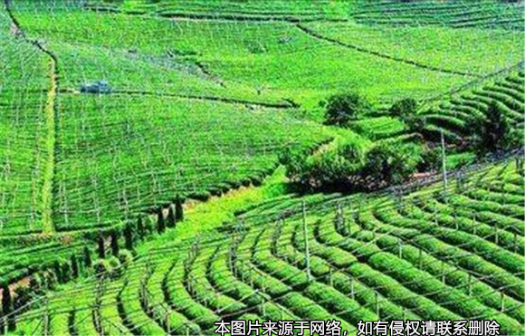 責任田的補償款是否能作為遺產繼承？