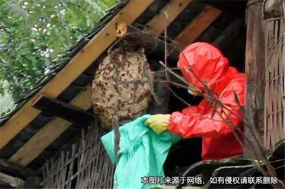 前人取蜂窩后人被馬蜂蜇死，前者是否需要承擔賠償責任？
