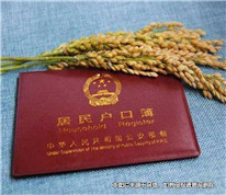 為給非婚生子上戶口，表兄妹登記結婚起糾紛