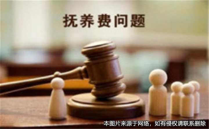 離婚后父親拒絕支付兒子的撫養(yǎng)費被申請強制執(zhí)行