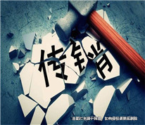 為國外理財傳銷平臺發展下線，被判構成組織、領導傳銷活動罪